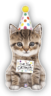 Birthday Kitten