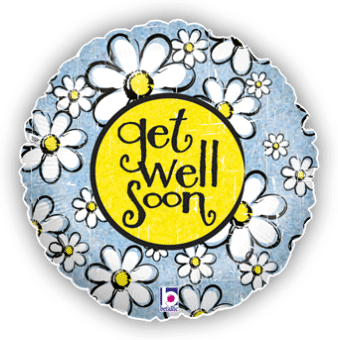 Get Well Daisy