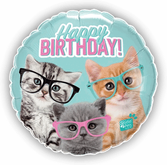 Happy Birthday Kittens
