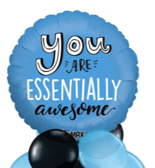 You Are Essentially Awesome Balloon