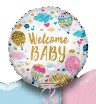Welcome Baby Hot Air Balloons Balloon