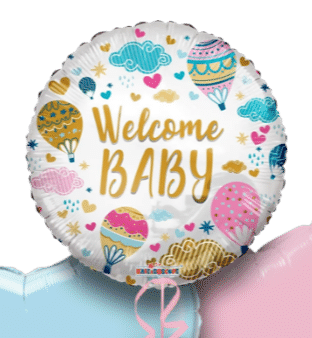 Welcome Baby Hot Air Balloons Balloon