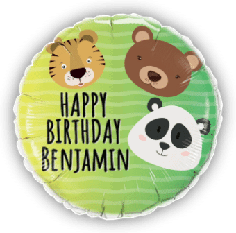 Birthday Animal Fun