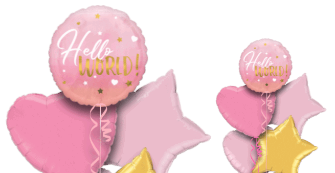 Hello World Pink Balloon