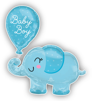 Baby Boy Elephant