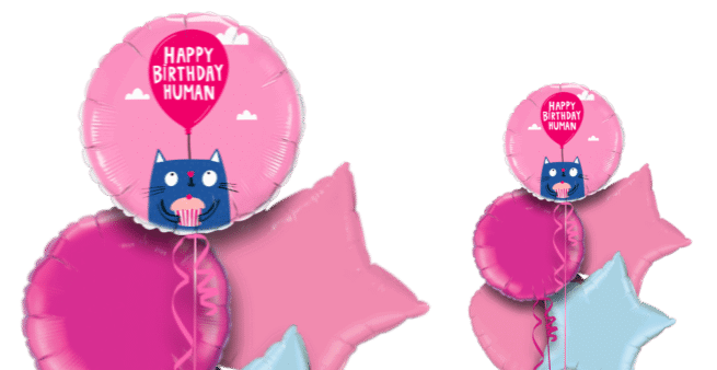 Happy Birthday Human Balloon