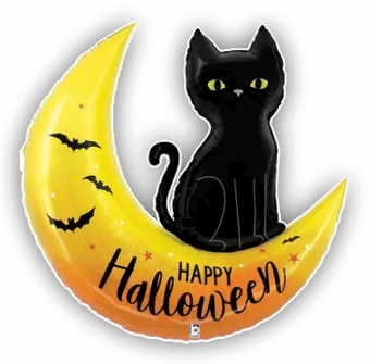 Happy Halloween Cat on Moon