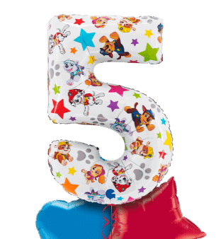 Paw Patrol Large 5 Balloon