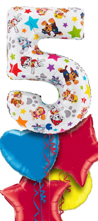 Paw Patrol Large 5 Balloon