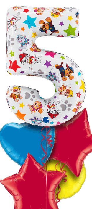 Paw Patrol Large 5 Balloon