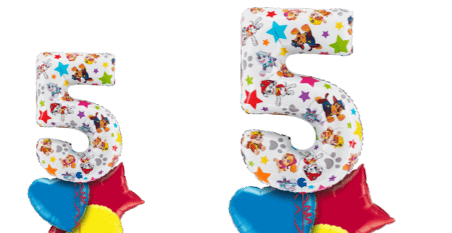 Paw Patrol Large 5 Balloon