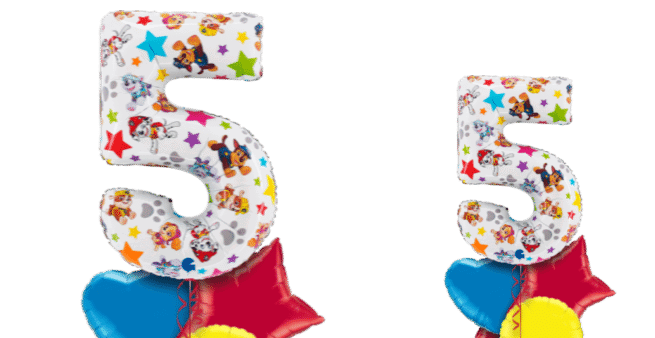Paw Patrol Large 5 Balloon