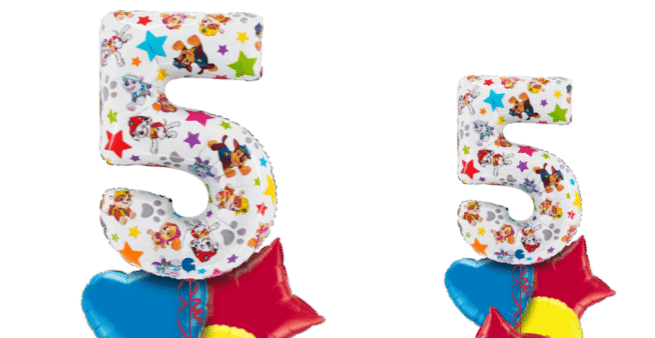 Paw Patrol Large 5 Balloon