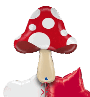 Toadstool Balloon