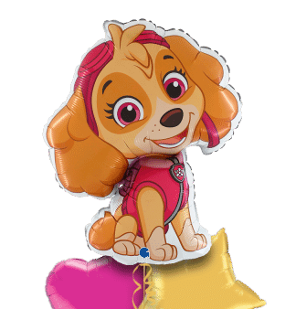 Paw Patrol Skye Balloon