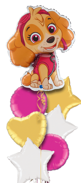 Paw Patrol Skye Balloon