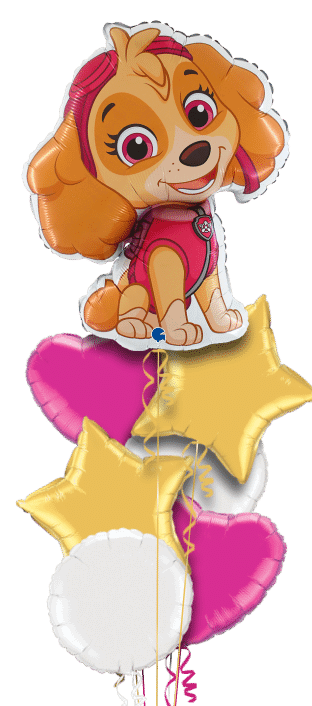 Paw Patrol Skye Balloon
