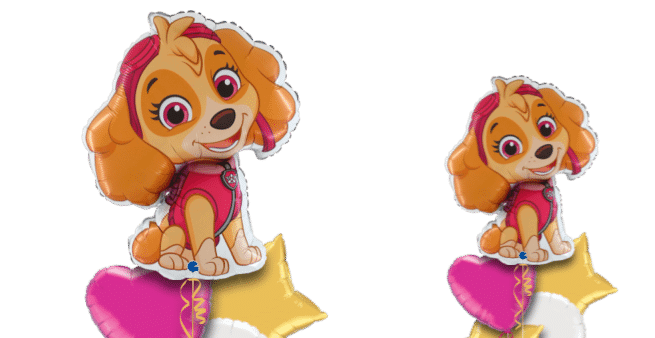 Paw Patrol Skye Balloon