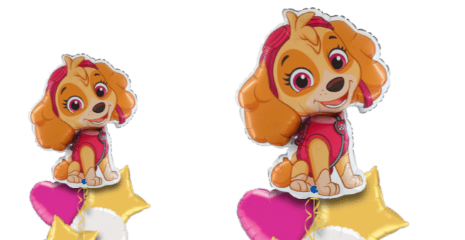 Paw Patrol Skye Balloon