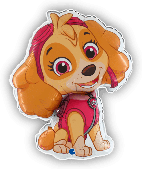 Paw Patrol Skye