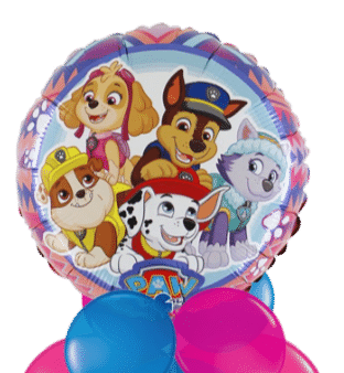 Paw Patrol Balloon