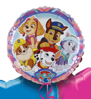 Paw Patrol Balloon