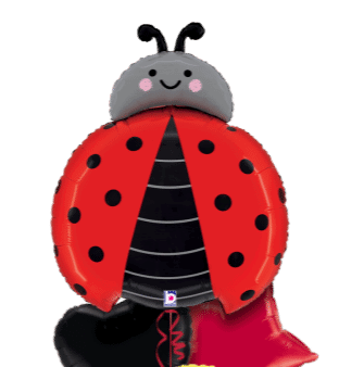 Ladybird Balloon