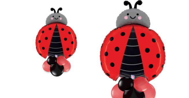 Ladybird Balloon