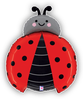 Ladybird