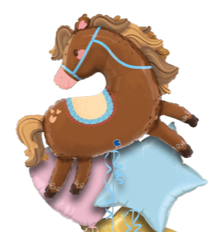 Jolly Pony Balloon