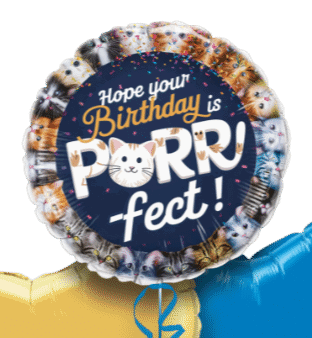 Purrrr-fect Birthday Balloon