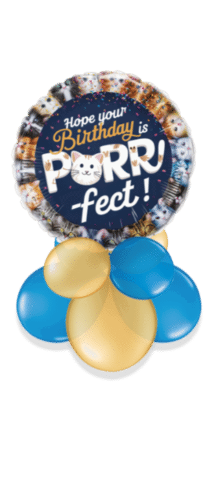 Purrrr-fect Birthday Balloon