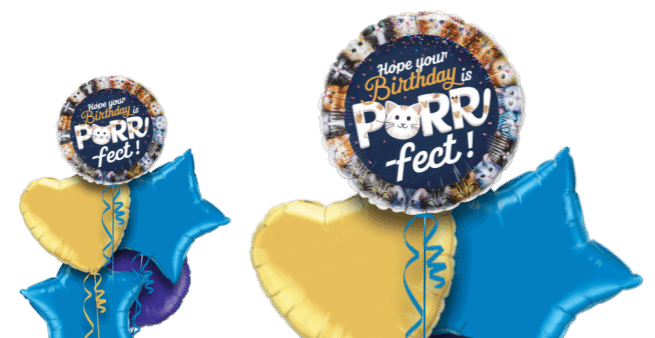 Purrrr-fect Birthday Balloon