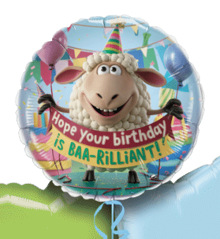 BAA-rilliant Birthday Balloon