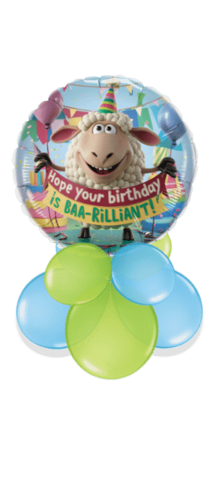 BAA-rilliant Birthday Balloon