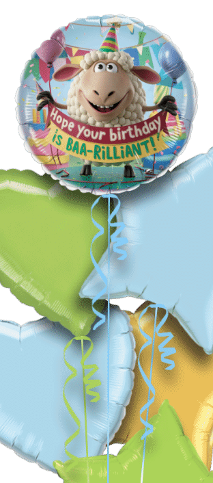 BAA-rilliant Birthday Balloon