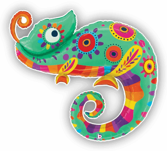 Colourful chameleon