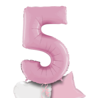 Pastel Pink Big 5 Balloon