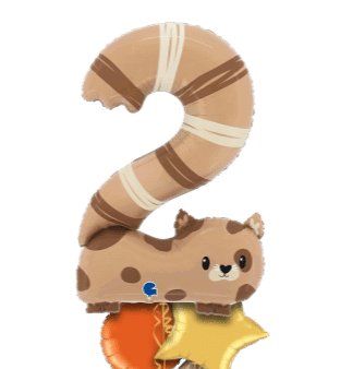 Number 2 Cat Balloon
