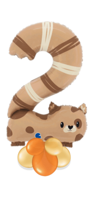 Number 2 Cat Balloon