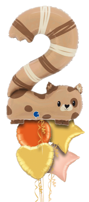 Number 2 Cat Balloon