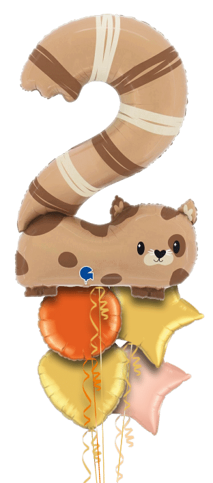 Number 2 Cat Balloon