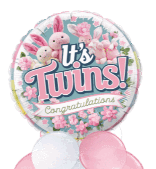 It's Twins Girls Balloon