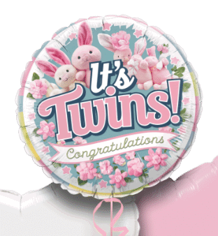 It's Twins Girls Balloon