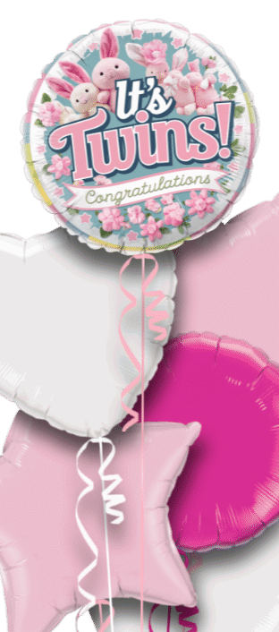 It's Twins Girls Balloon