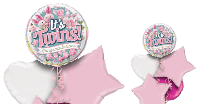 It's Twins Girls Balloon