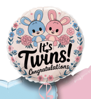 It's Twins Boy and Girl Balloon