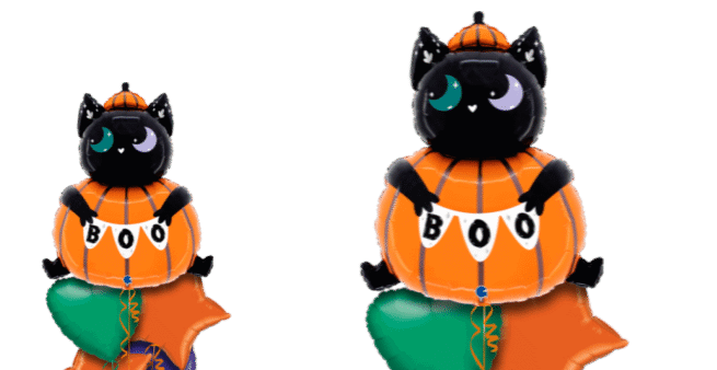 Cat in Pumpkin Balloon