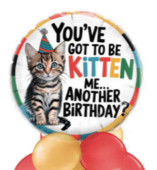 You've Got To Be Kitten Me Birthday Balloon