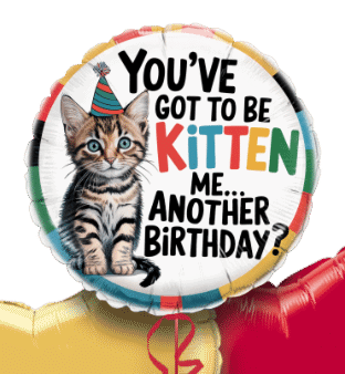 You've Got To Be Kitten Me Birthday Balloon